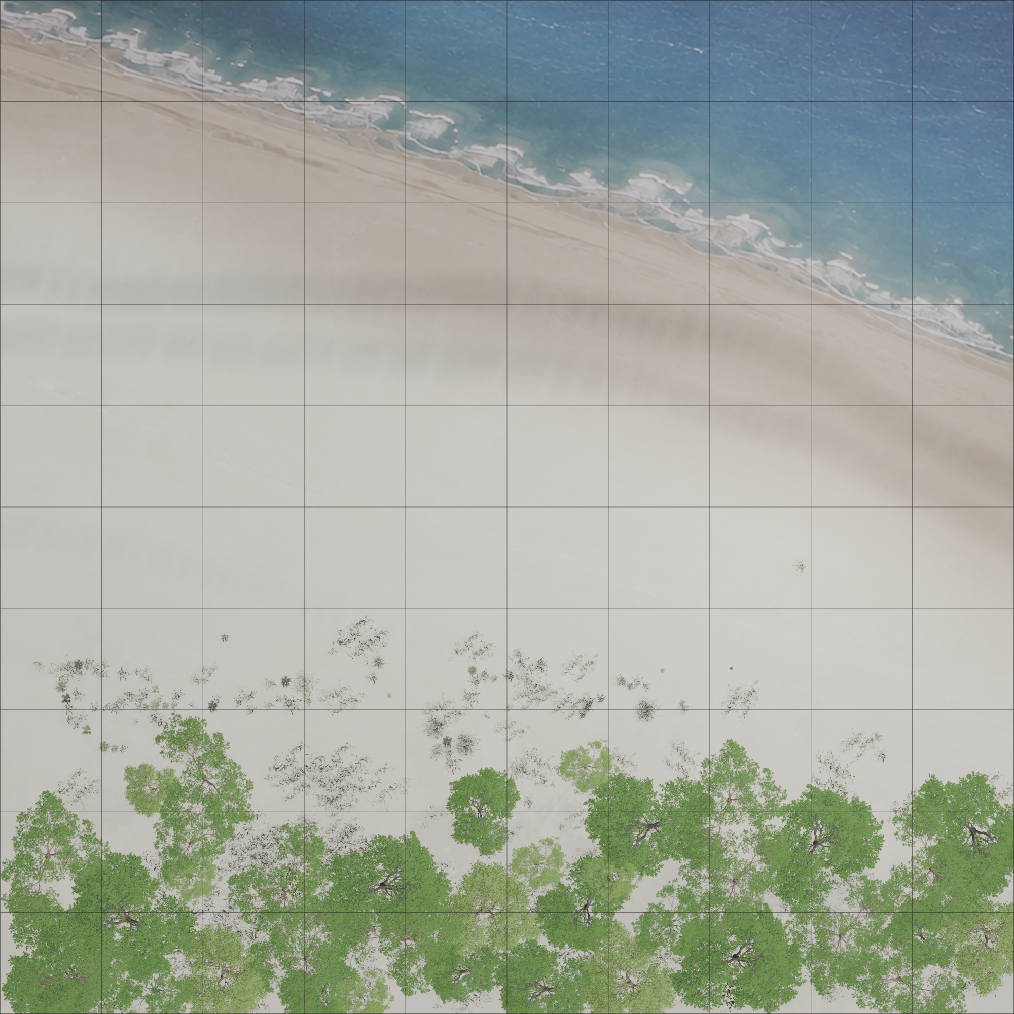 Orthographic map of the beach